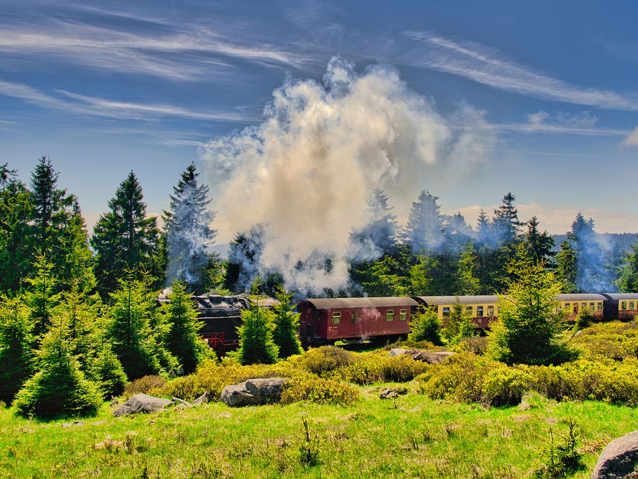 Brockenbahn im Nationalpark Harz