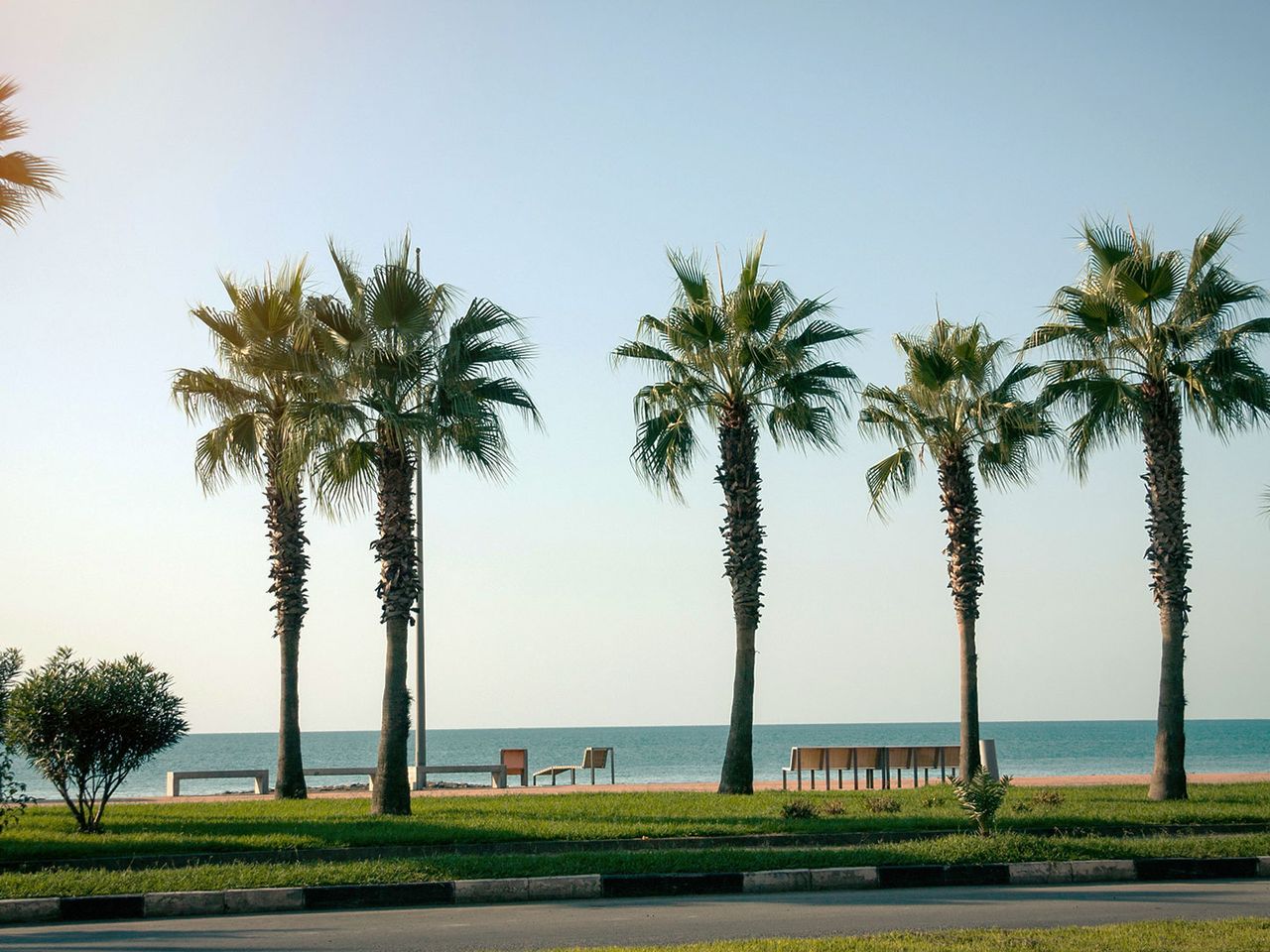 Die Promenade von Batumi ist von Palmen umsäumt.