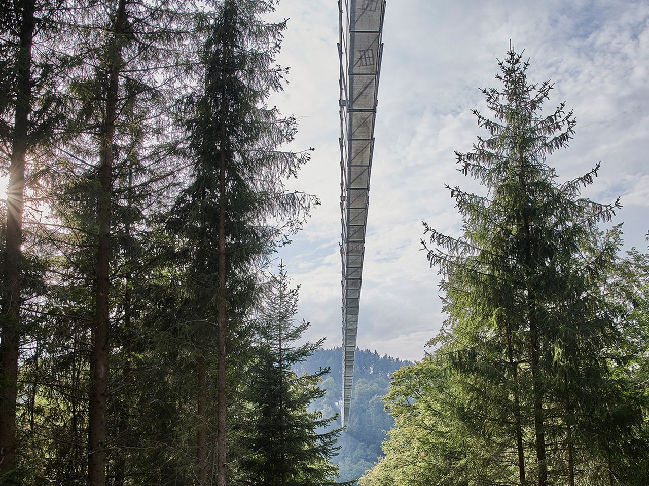 Willingen Skywalk