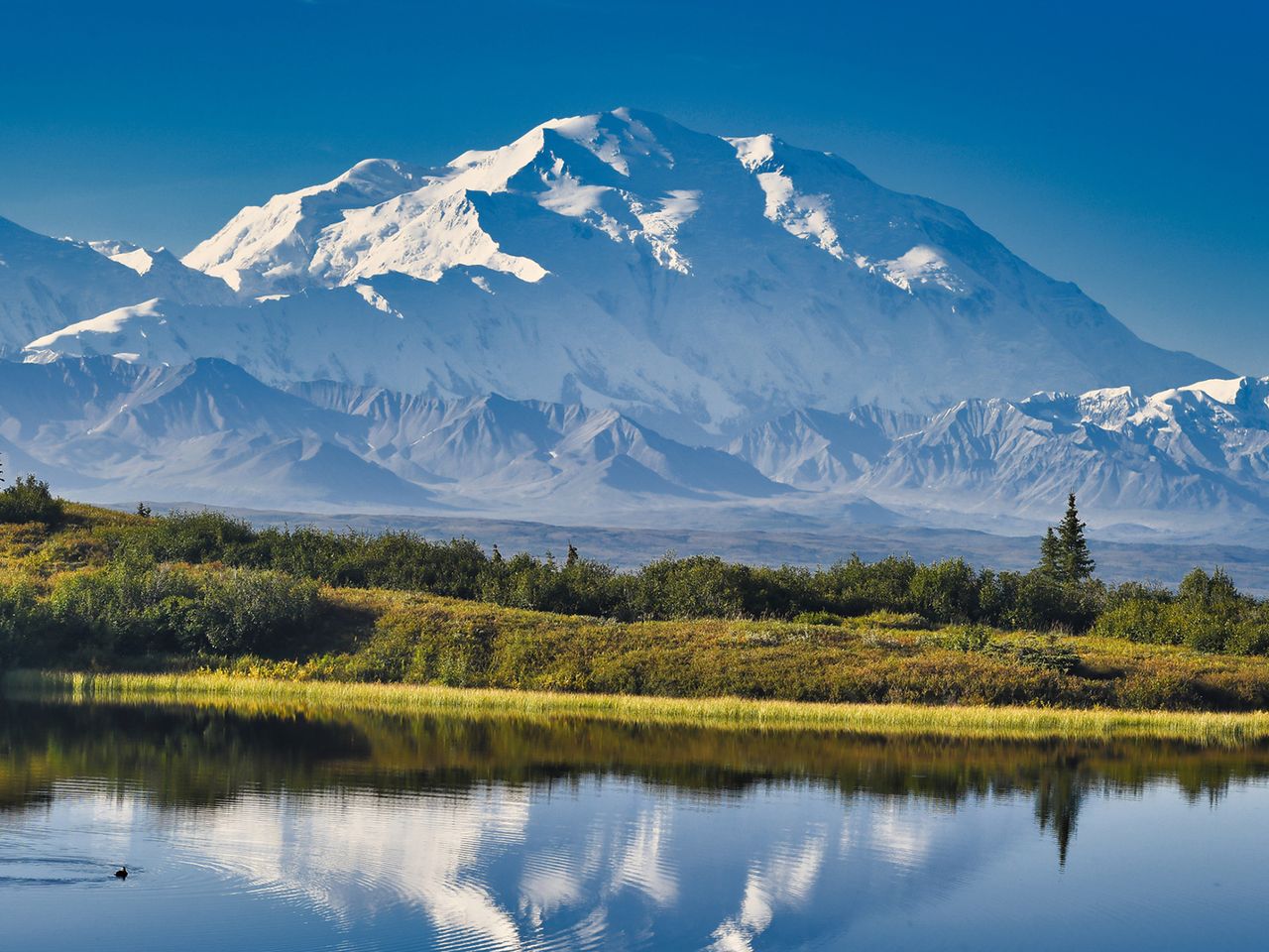 Blick auf den Gipfel des Mount Denali, Alaska