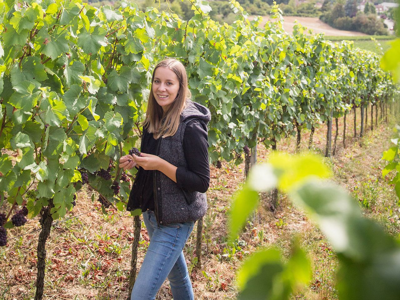 Weingut Schmitt-Weber