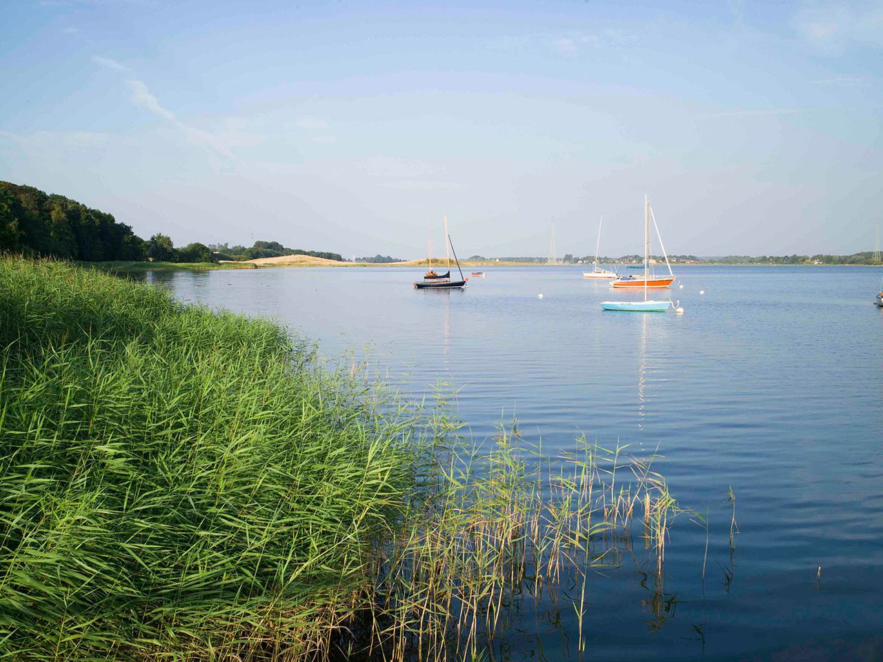 Schlei