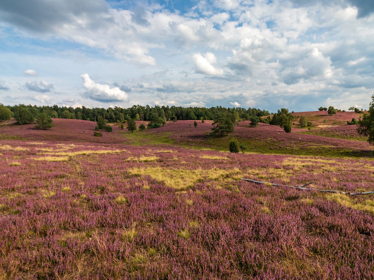 Niedersachsen Camping
