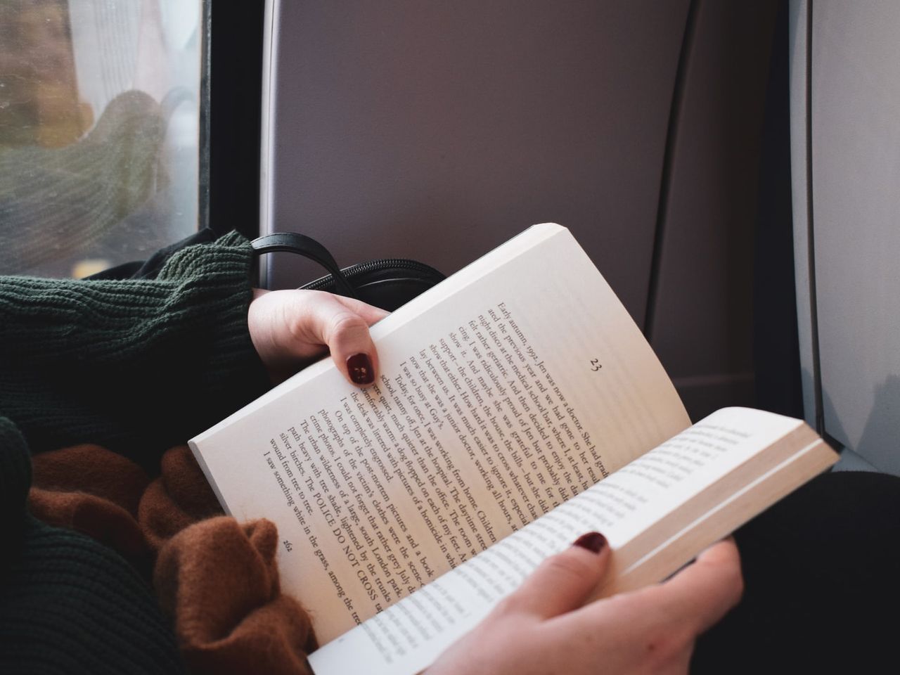 Zugreise Beschäftigung, lesen