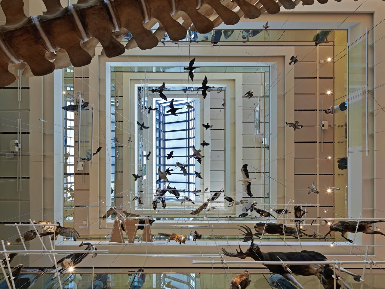 Atrium des MUSE, Trento