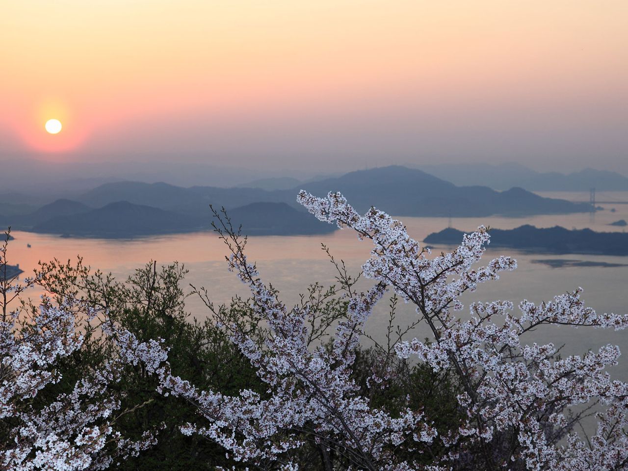 Blick vom Fudekageyama mit Kirschblüten