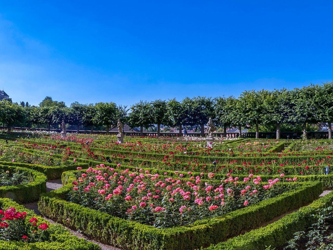 Rosengarten der Neuen Residenz in Bamberg