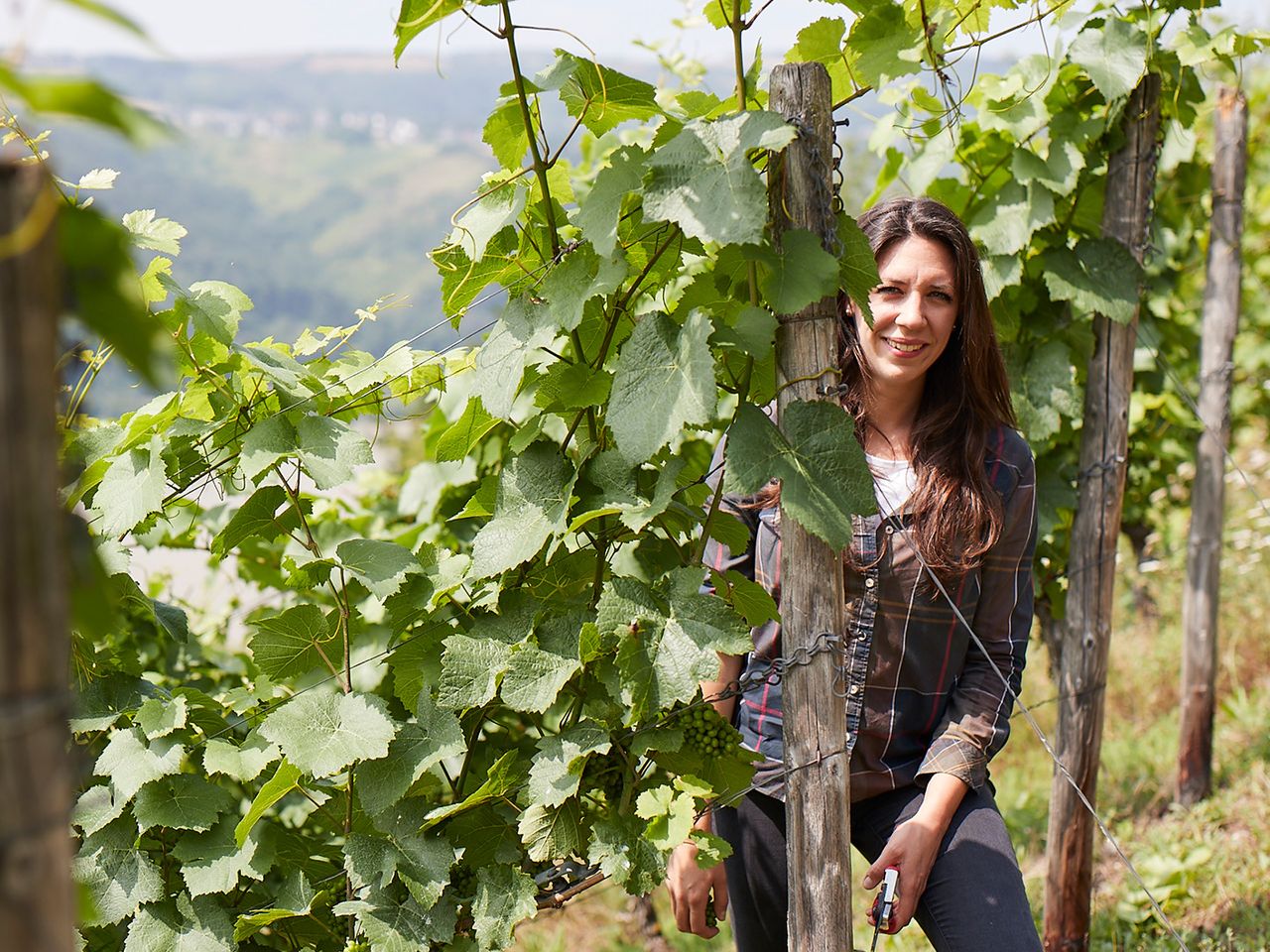 Weingut Weiler
