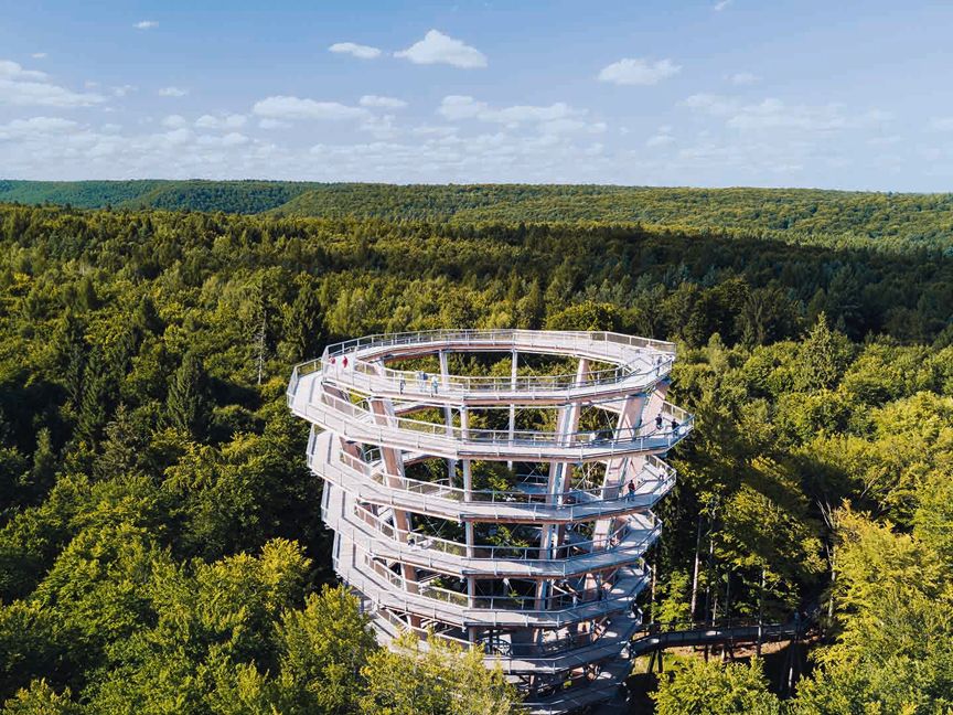 Franken Baumwipfelpfad