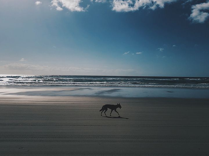 Fraser Island Australien