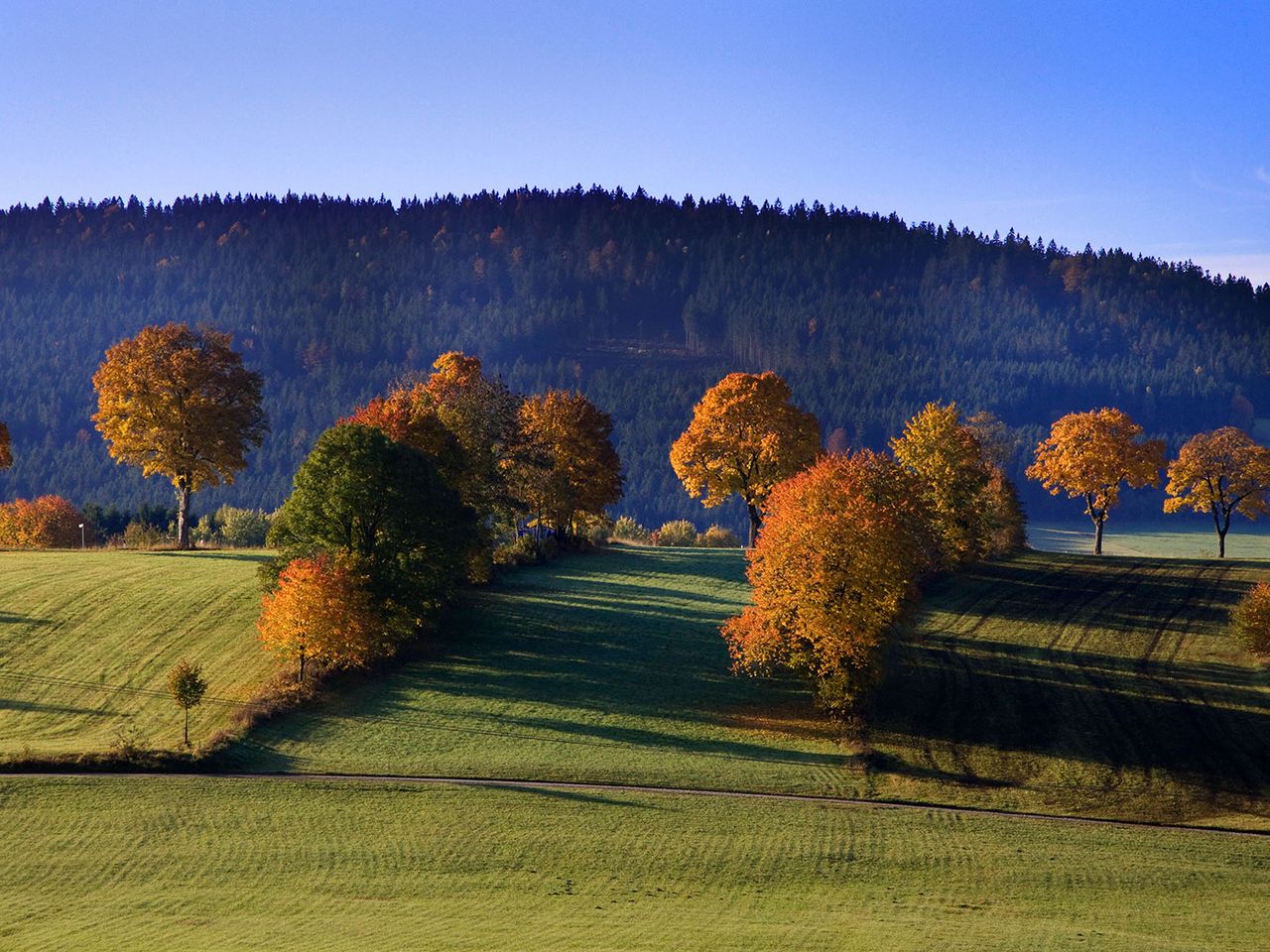 Nationalpark Bayerischer Wald bei Rosenau
