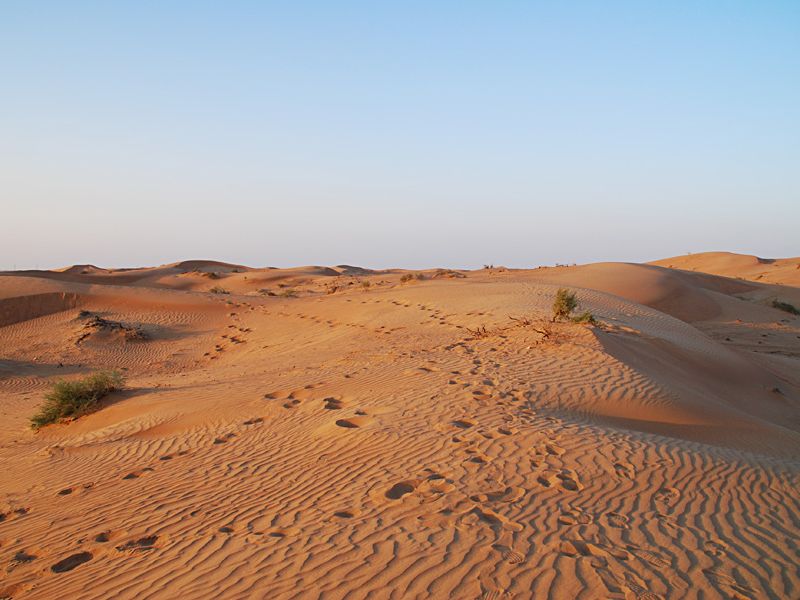 Wüste von Sharjah, Vereinigte Arabische Emirate