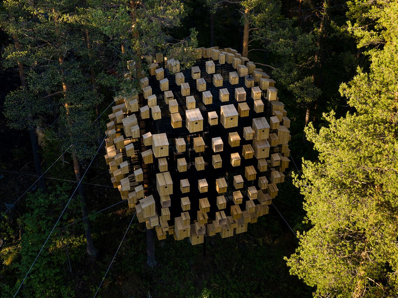 Biosphere, Treehotel in Schweden