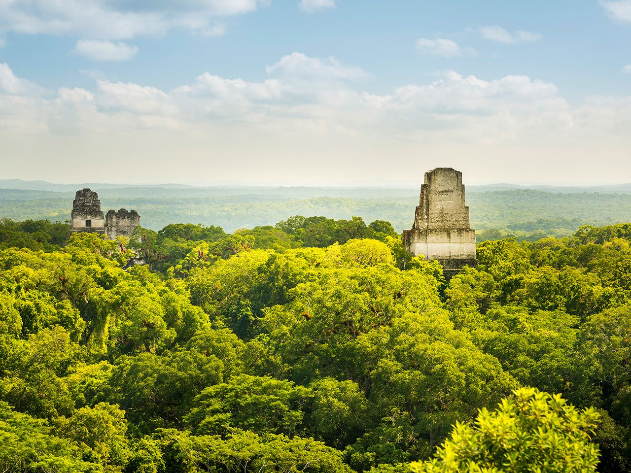 Mayastätte Tikal in Guatemala