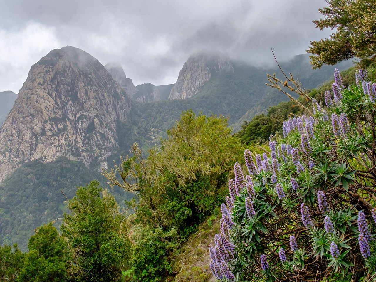 La Gomera, Parque Nacional de Garajonay