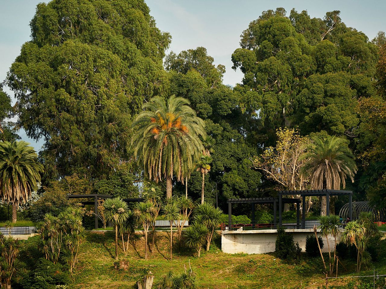 Große Artenvielfalt im Botanischen Garten von Batumi