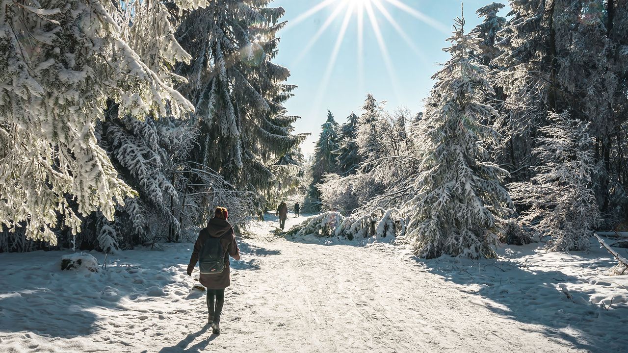 Waldbaden im Winter, Symbolfoto