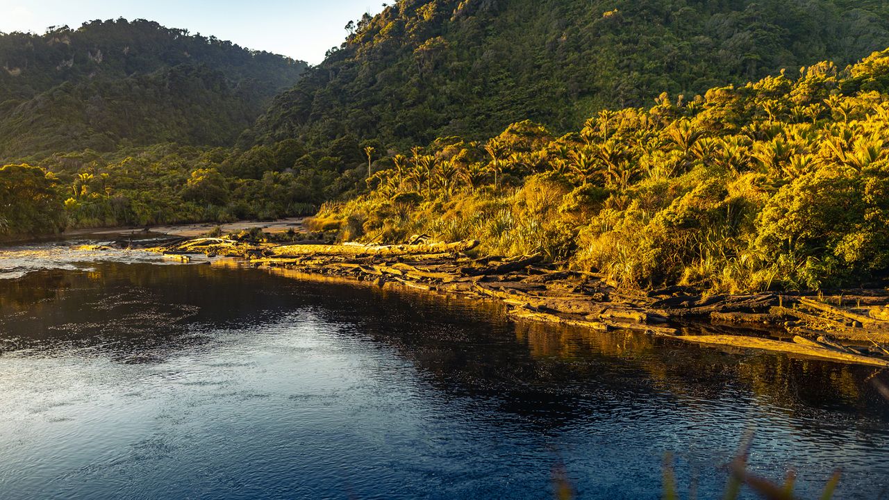 Kahurangi Nationalpark, Heaphy Track