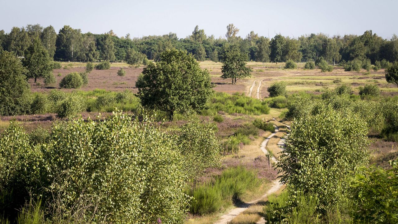 Döberitzer Heide, Brandenburg
