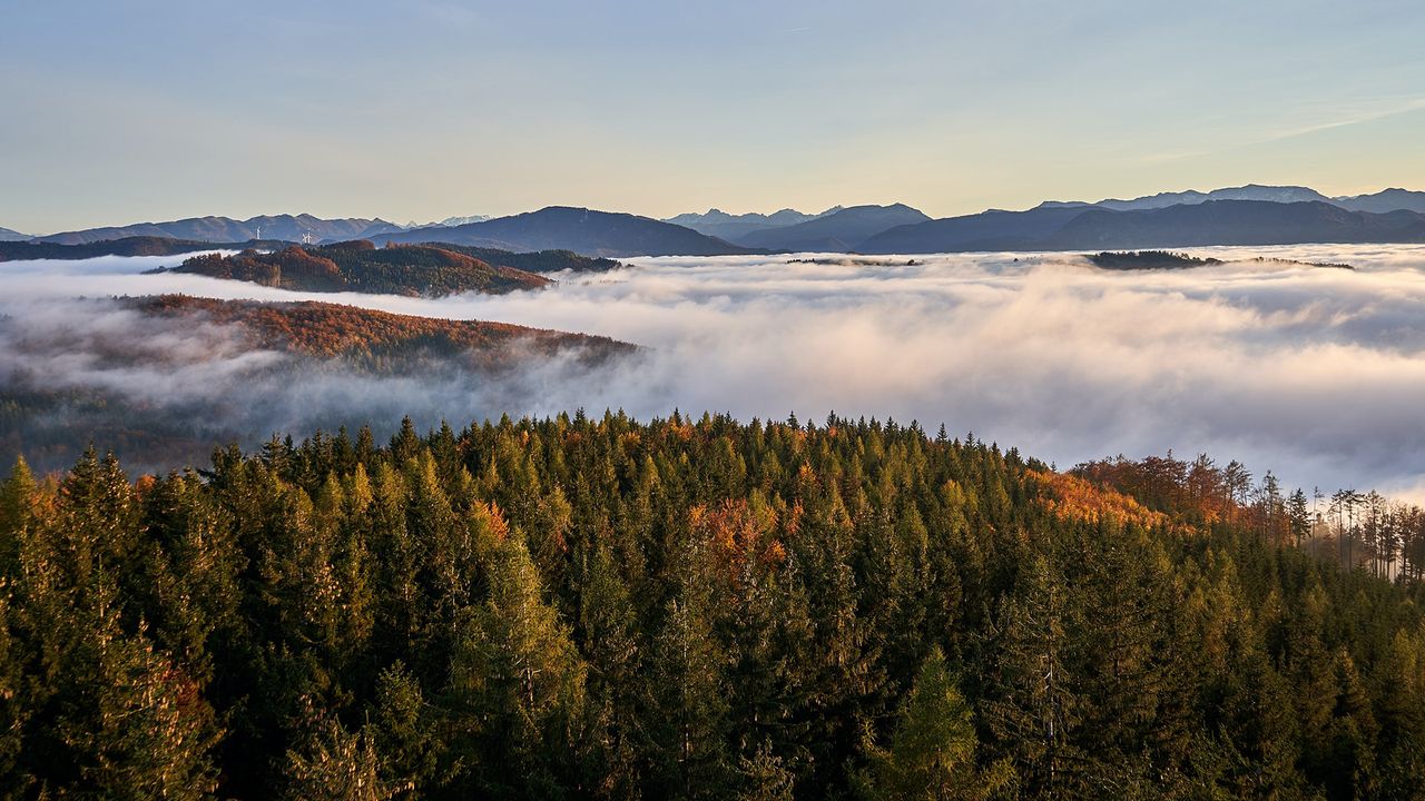 Oberösterreich