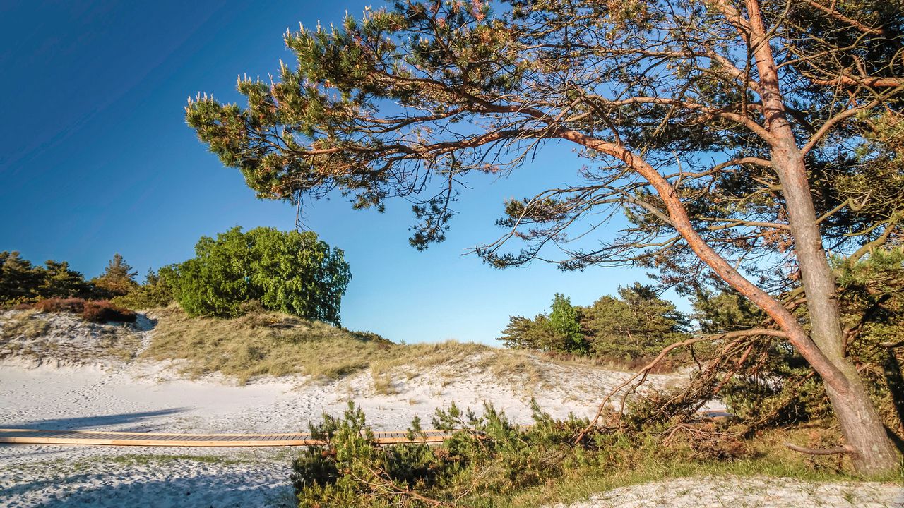 Strand bei Dueodde, dänische Ostseeinsel Bornholm