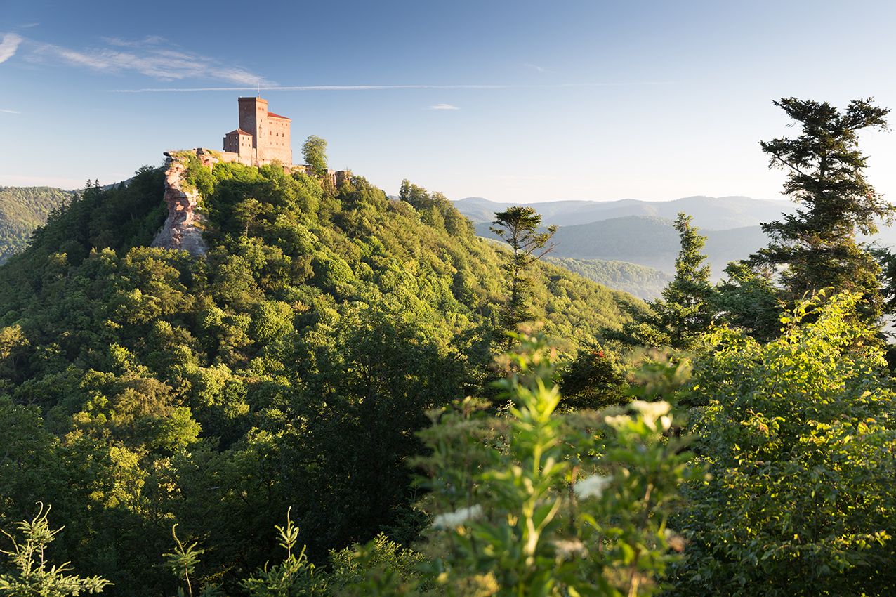 Burg Trifels