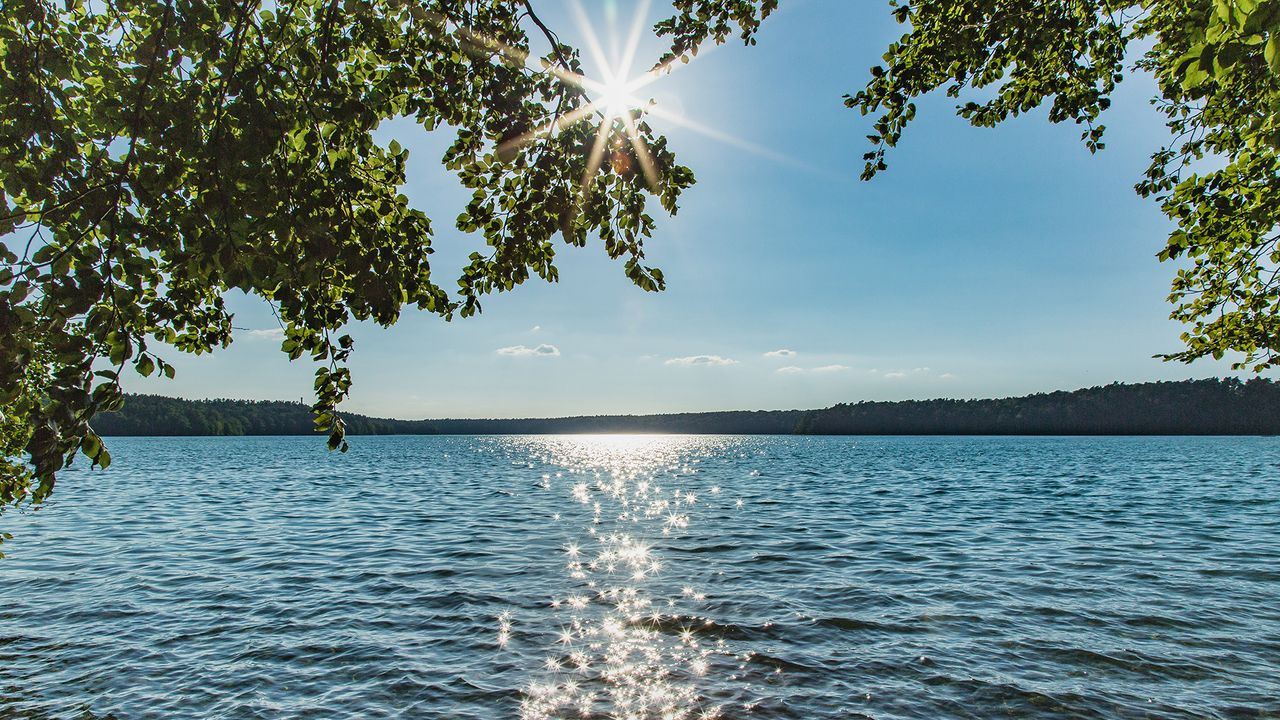 Stechlinsee