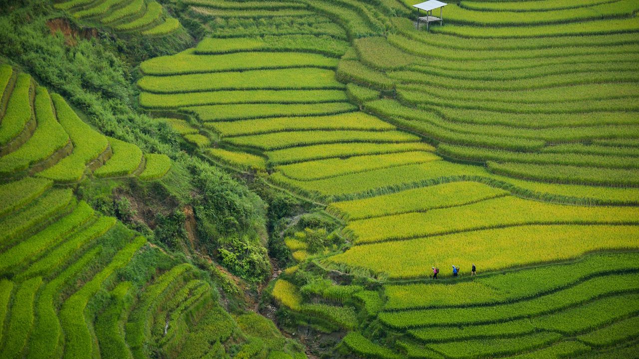 Vietnam