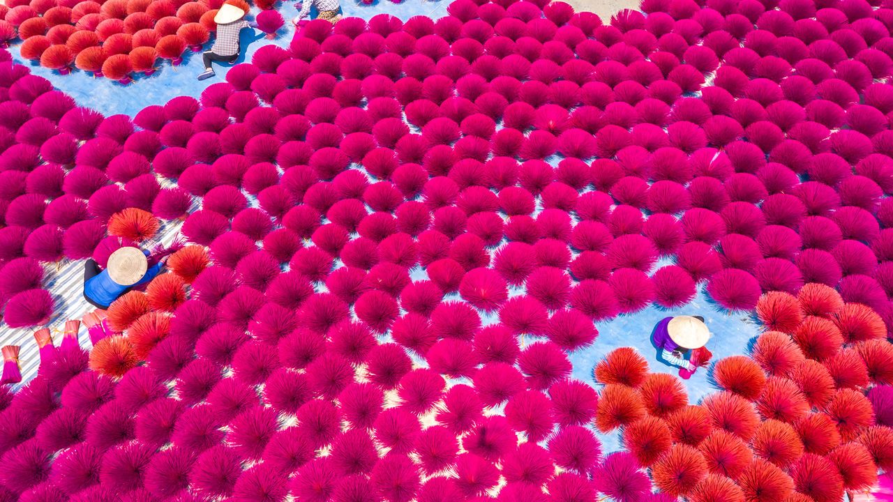 Herstellung von Räucherstäbchen in Quang Phu Cau