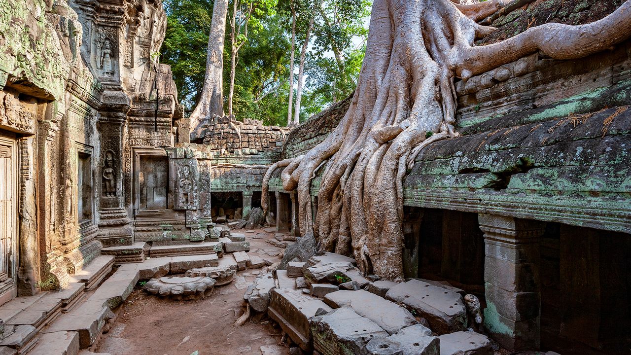 Ta Prohm, Kambodscha