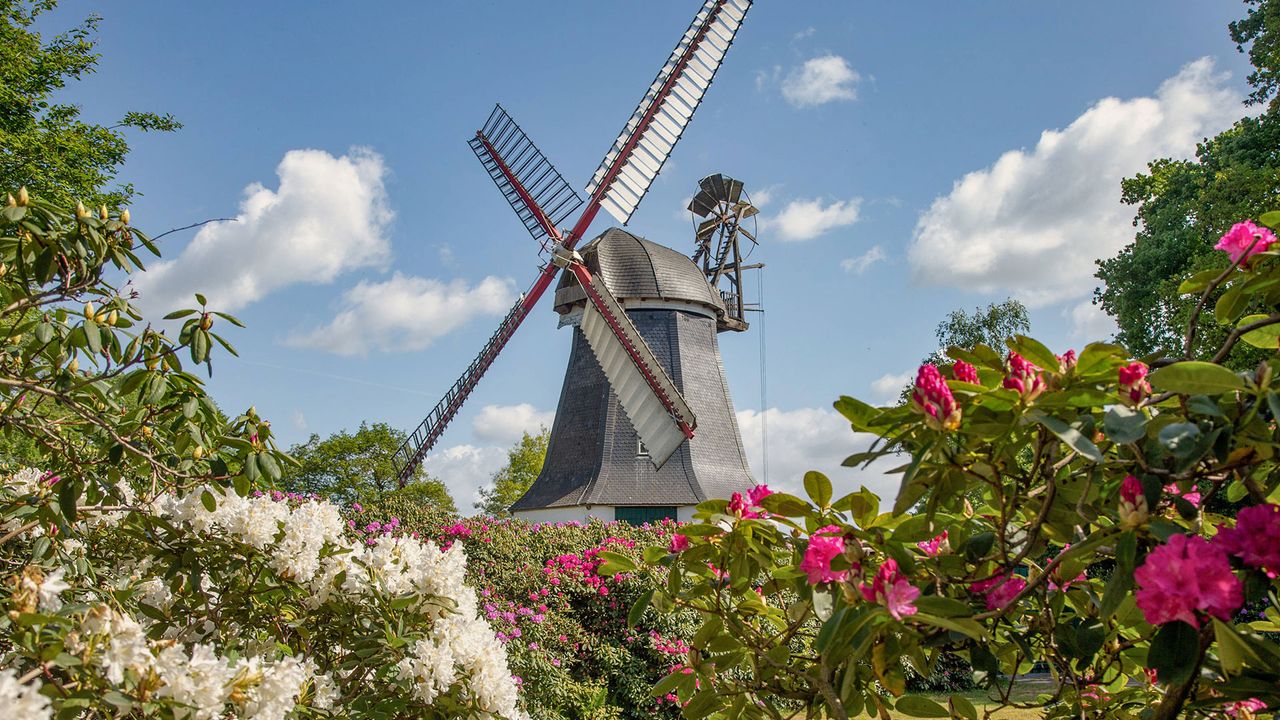 Erdholländer Windmühle, Worpswede in Niedersachsen