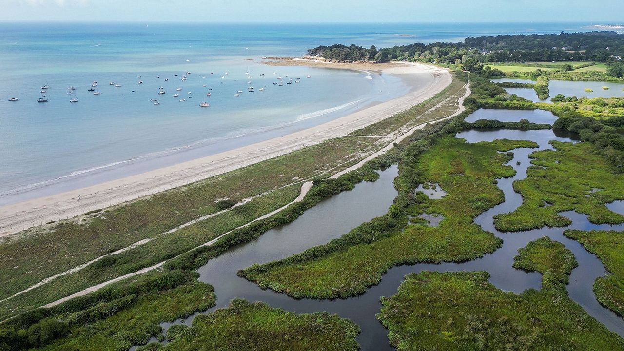 Marschland von Sarzeau, Golf von Morbihan