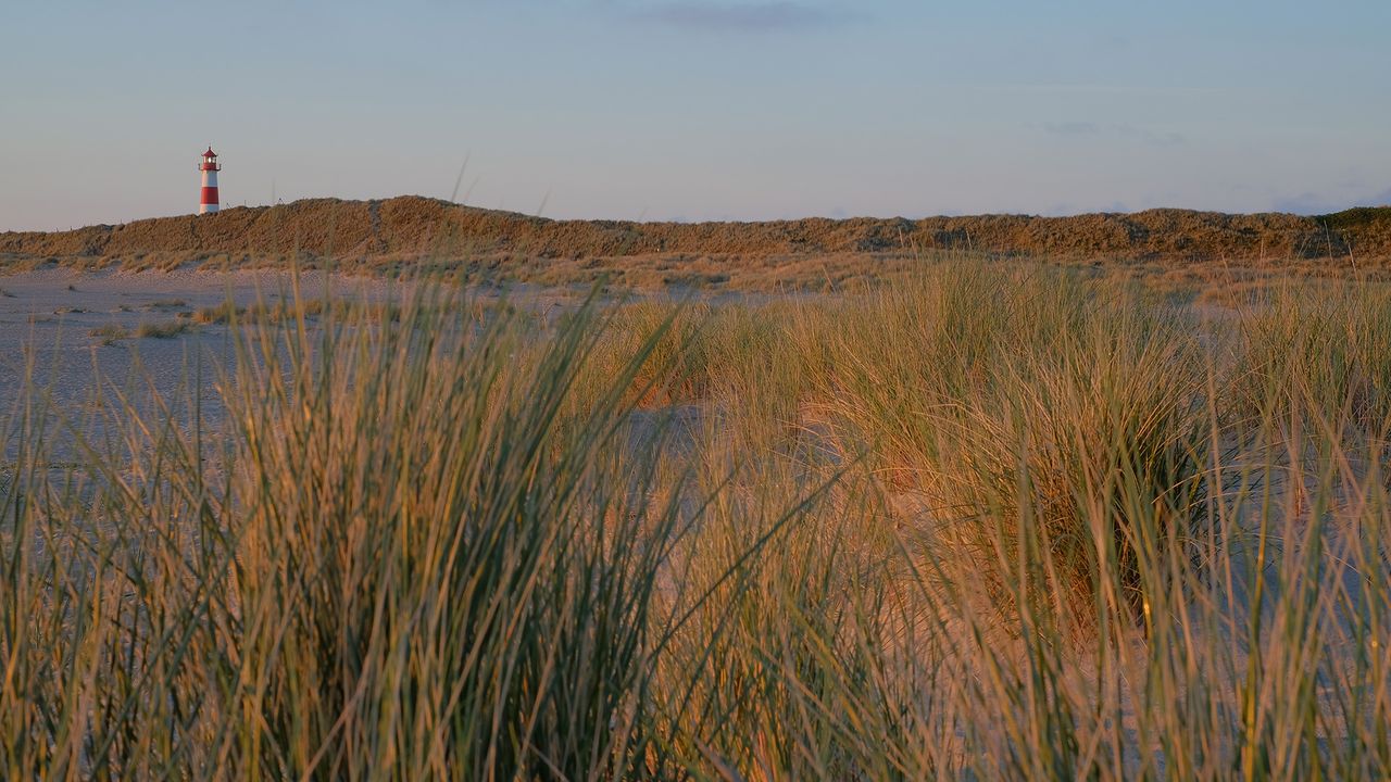 Sylt