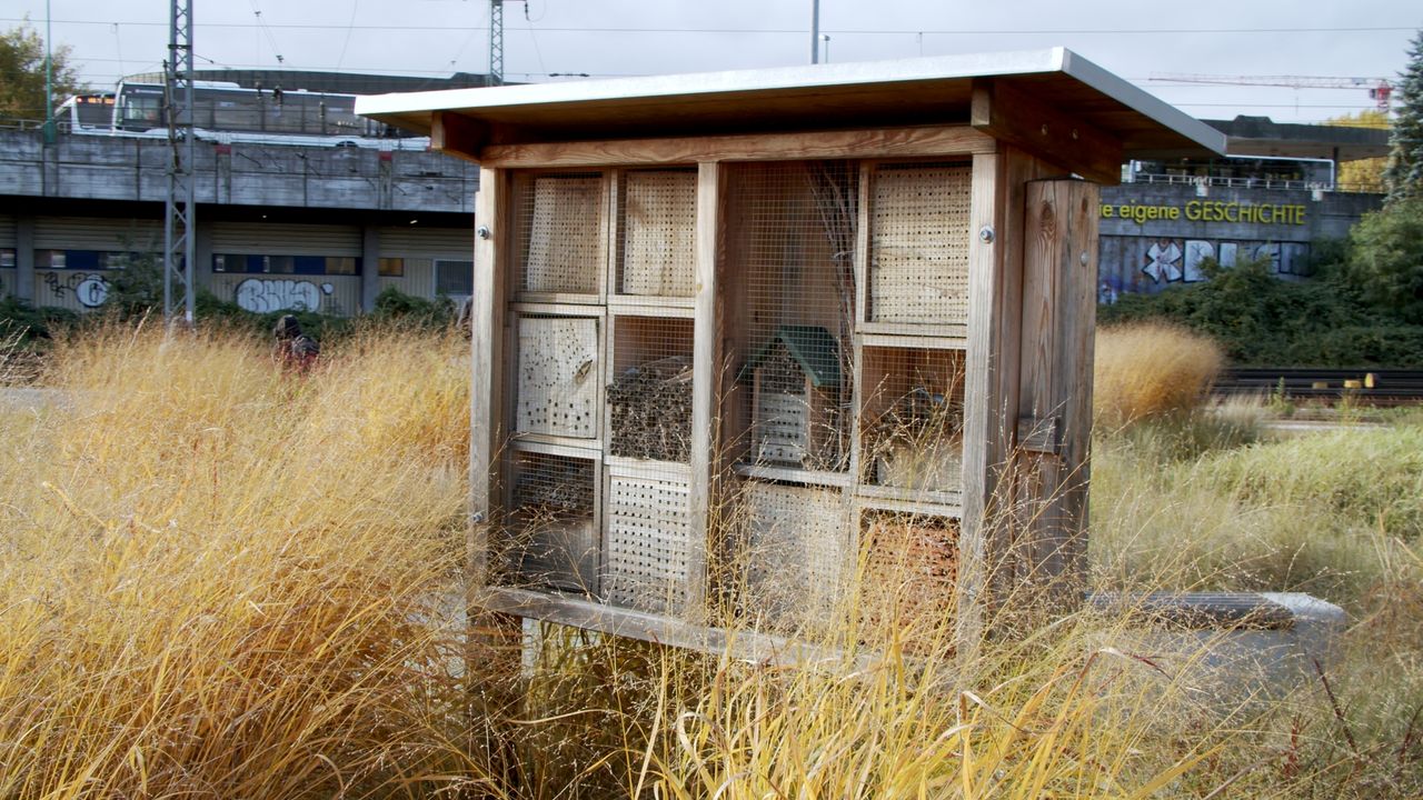 Insektenhotel_Hamburg-Harburg