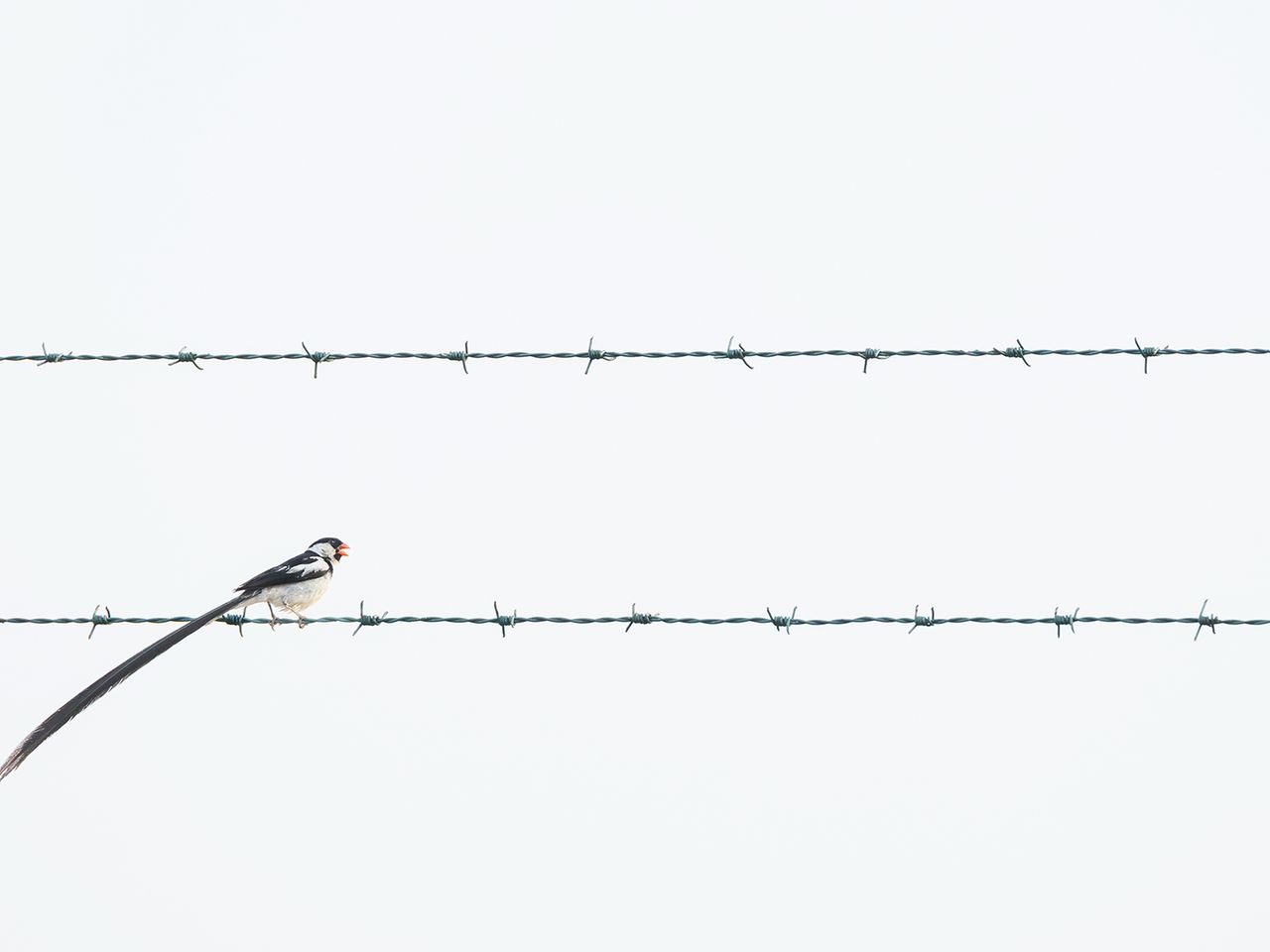„Fueling Resilience“ von Benjamin Smail