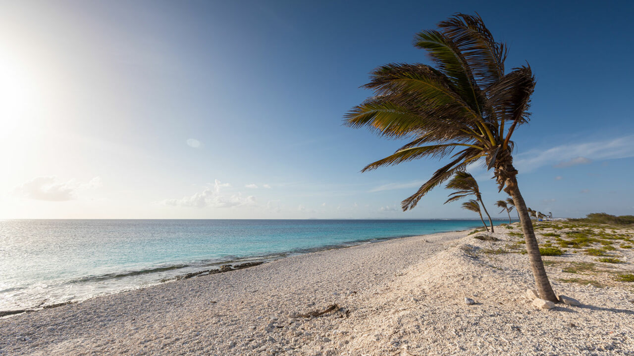 Verlassener Strand auf Bonaire