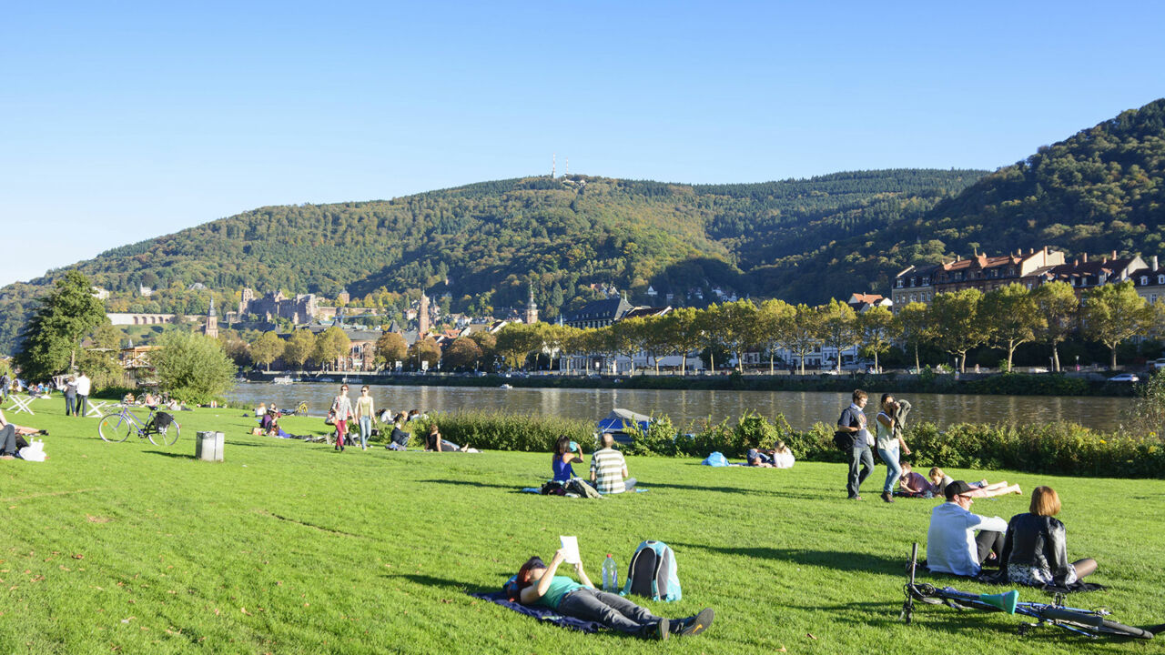 Neckarwiese in Heidelberg