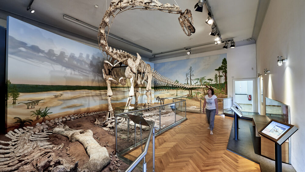 Ausstellungsraum im Naturhistorischen Museum in Braunschweig