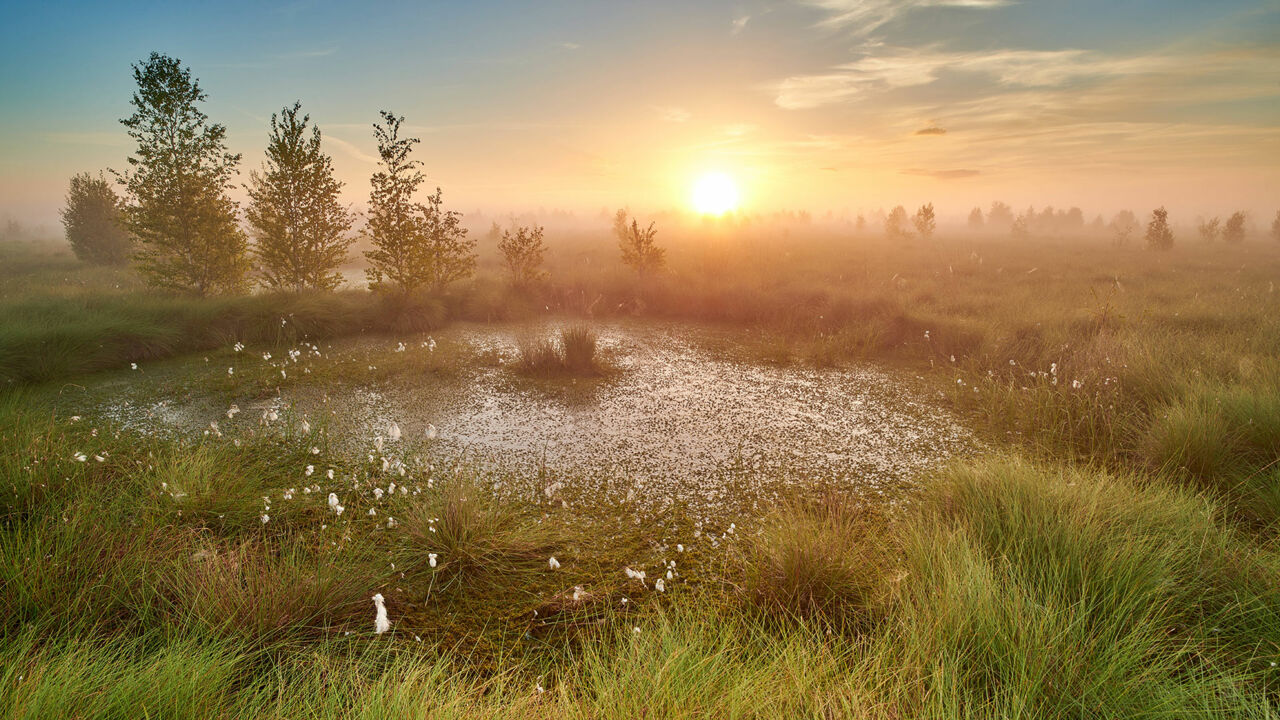 Sonnenaufgang über dem Diepholzer Moor