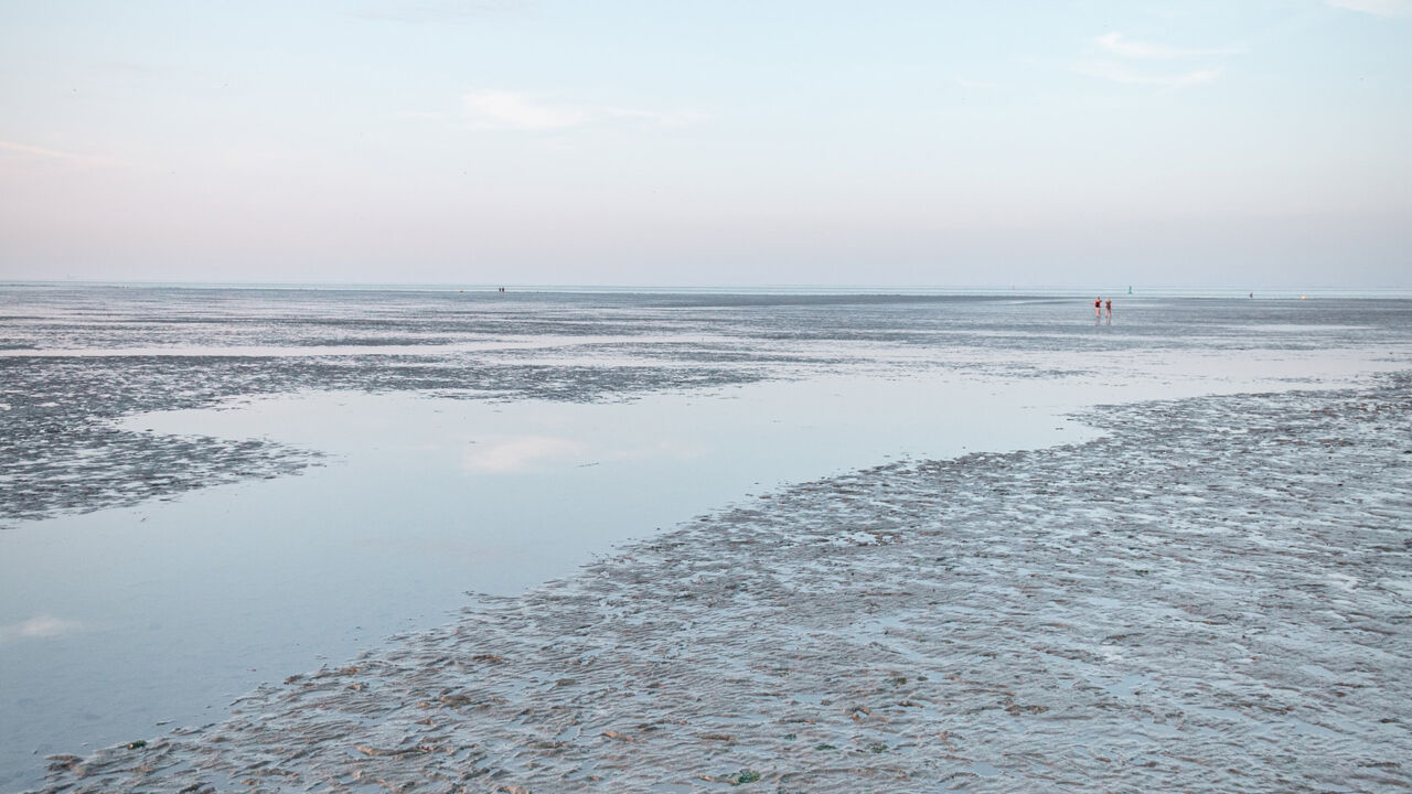 Bei Ebbe wandern Menschen durch das niedersächsische Wattenmeer.
