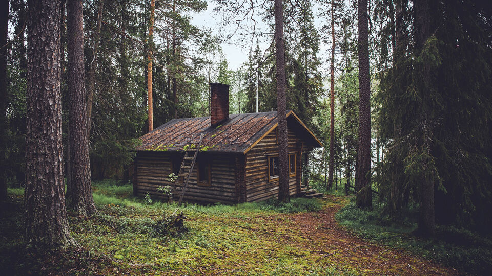 Survival Hütte Finnland