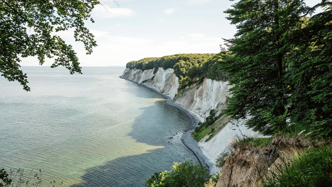 Kreidefelsen Königsstuhl auf Rügen, im Nationalpark Jasmund