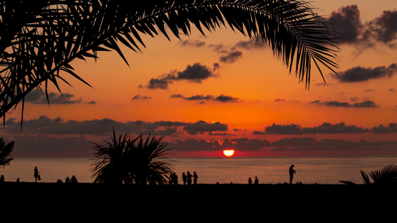 Palmen bei Sonnenuntergang am Strand von Batumi