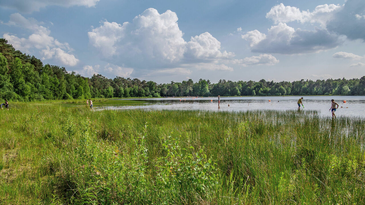 Menschen baden im Waldsee Großer Bullensee