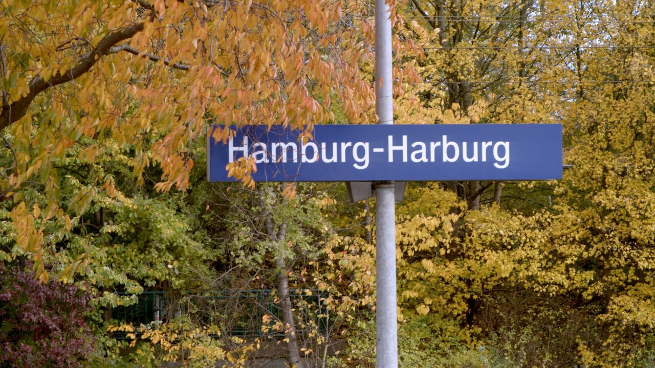 Blühende Natur am Bahnhof Hamburg-Harburg