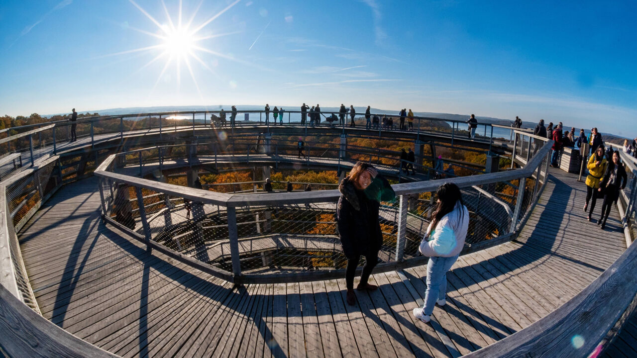 Besucher spazieren auf dem Baumwipfelpfad von Prora