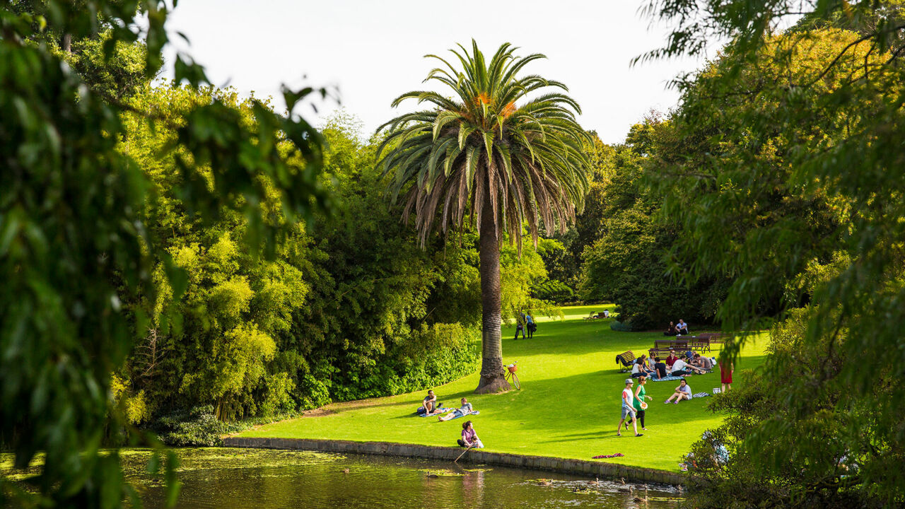 Sattes Grün leuchtet in den Royal Botanic Gardens von Melbourne