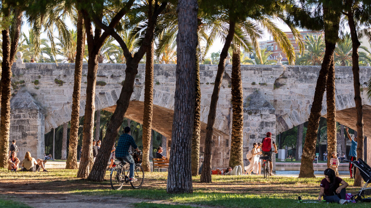 Menschen sitzen unter Palmen im Turia Park von Valencia