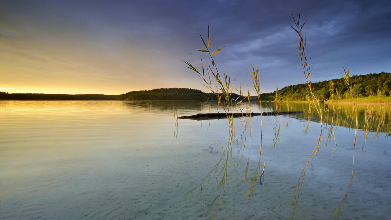 Großer Fürstenseer See, Nationalpark Müritz