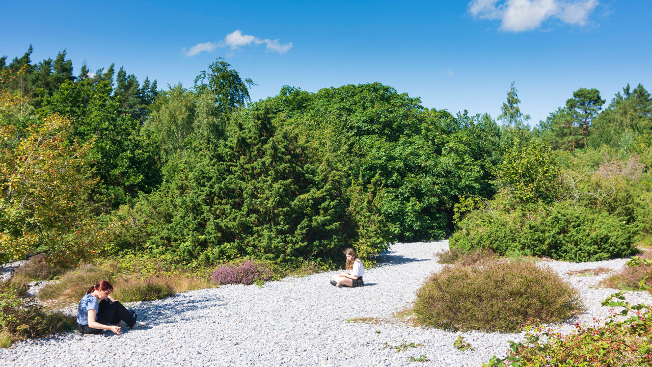 Weite Felder aus Feuersteinen säumen die Schmale Heide auf Rügen